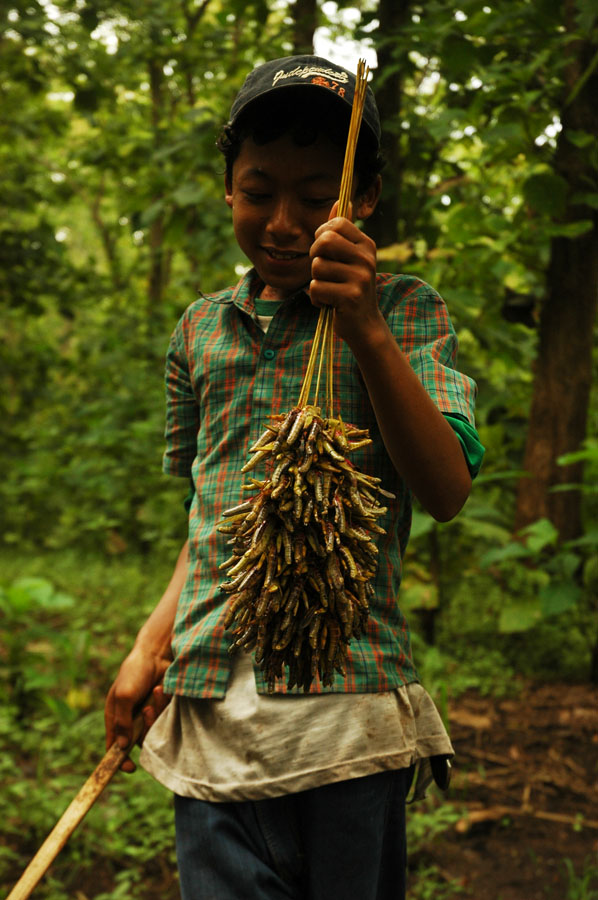 Penjual Belalang dipinggir hutan