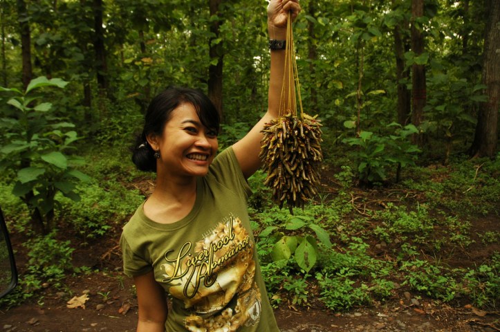 Sukamade Jawa Timur 26