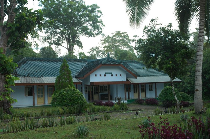 Penginapan Perhutani di Sukamade