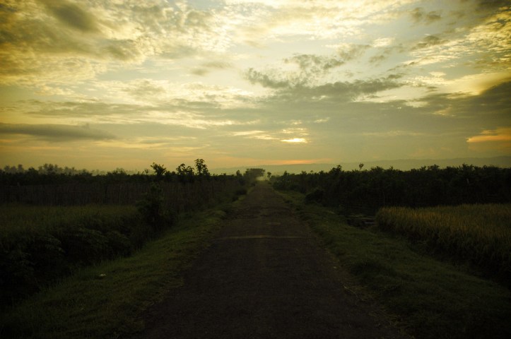 Sukamade Jawa Timur 3