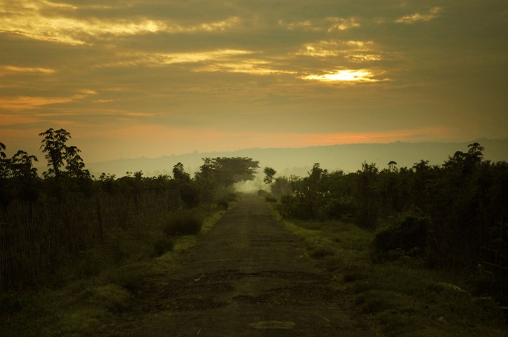 Sukamade Jawa Timur 4
