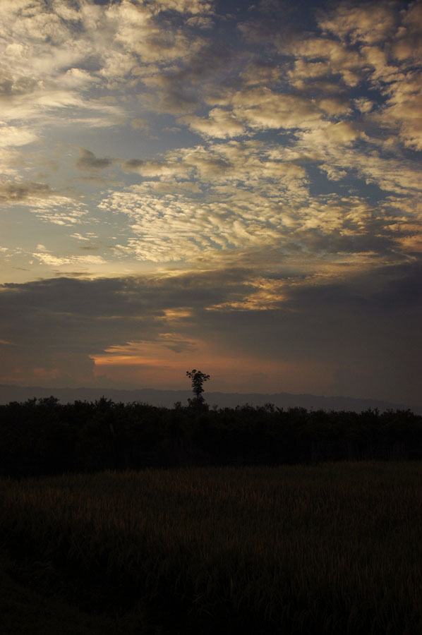 Sukamade Jawa Timur 5