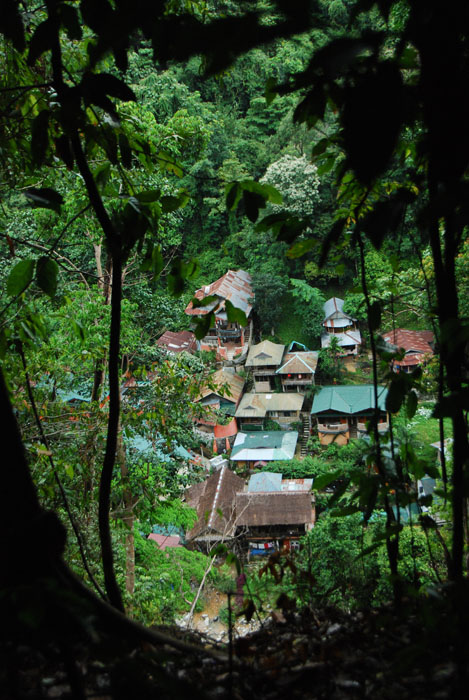 Bukit Lawang