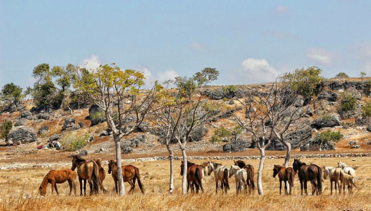 Pic source moeslema.com