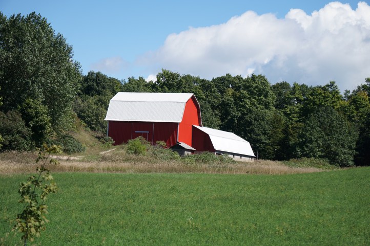 The barns