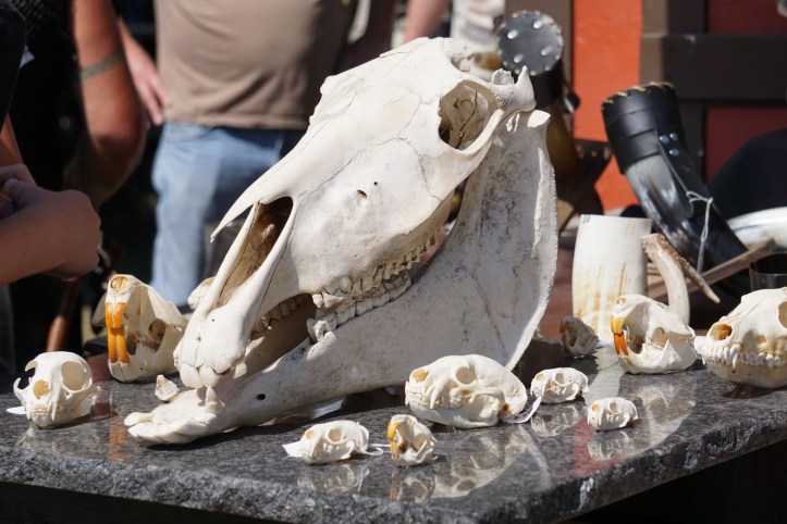 Ini dari stand tulang2 binatang gitu