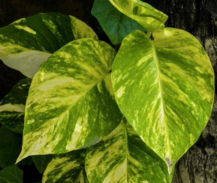 screen-shot-2016-09-10-at-8-48-30-am