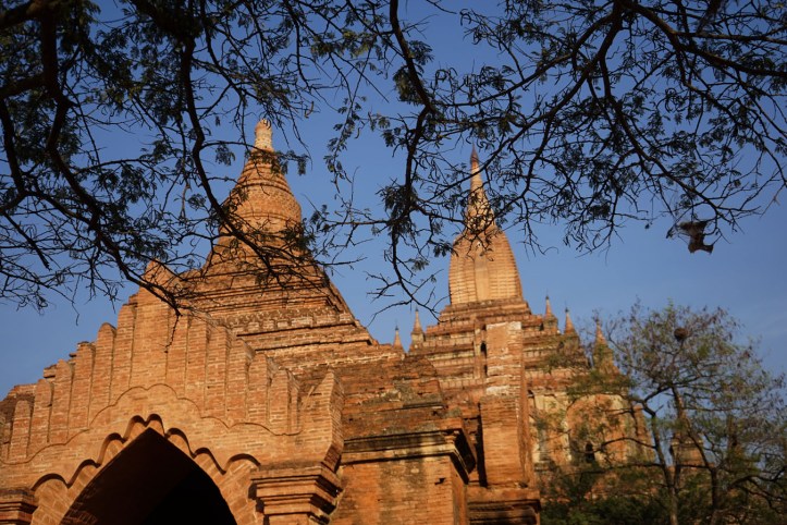 Htilominlo Pahto bagan