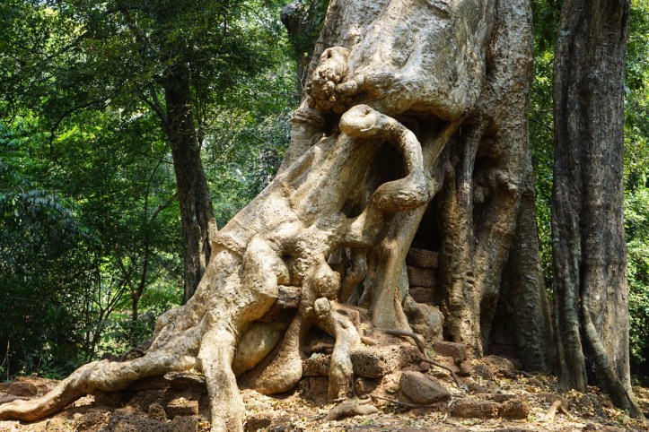 Ta Phrom Siem Reap