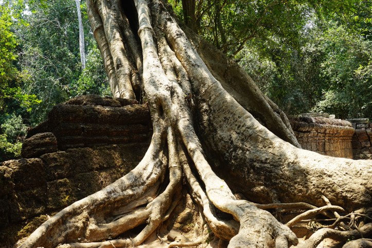 Ta Phrom Siem Reap