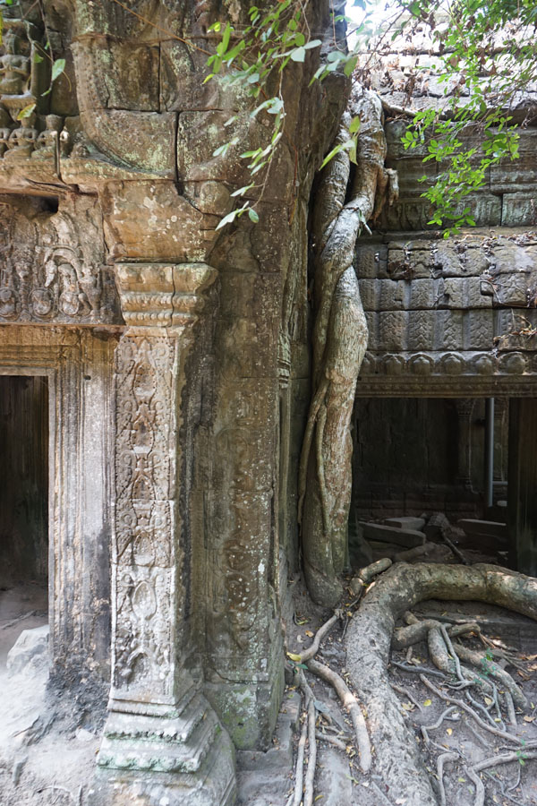 Ta Phrom Siem Reap