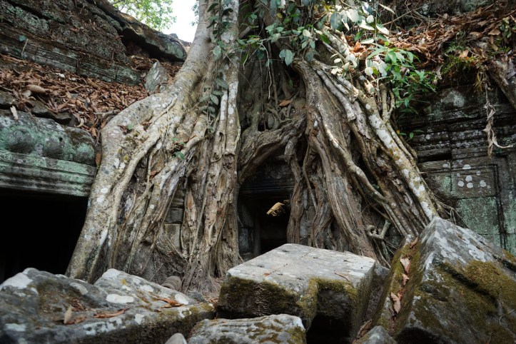 Ta Phrom Siem Reap