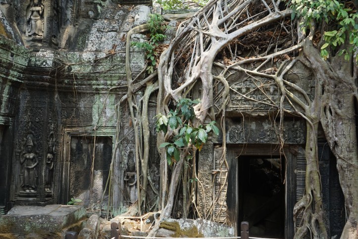 Ta Phrom Siem Reap