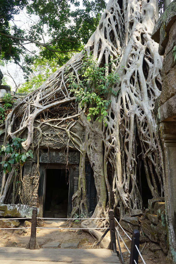 Ta Phrom Siem Reap