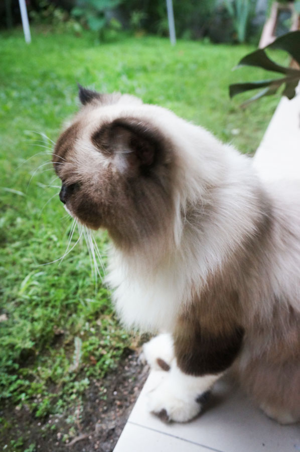 akting sewaktu mau ditinggal sendirian