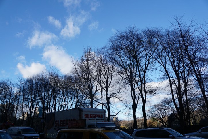 Central Park New york