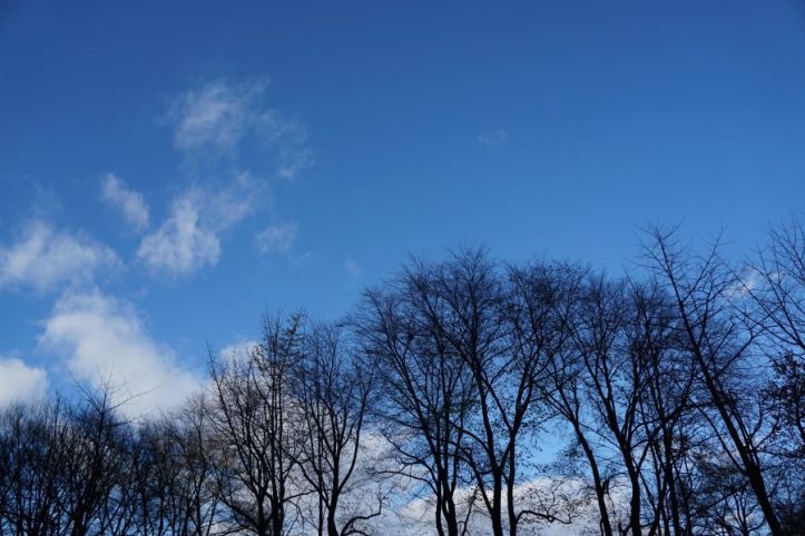 Central Park New york