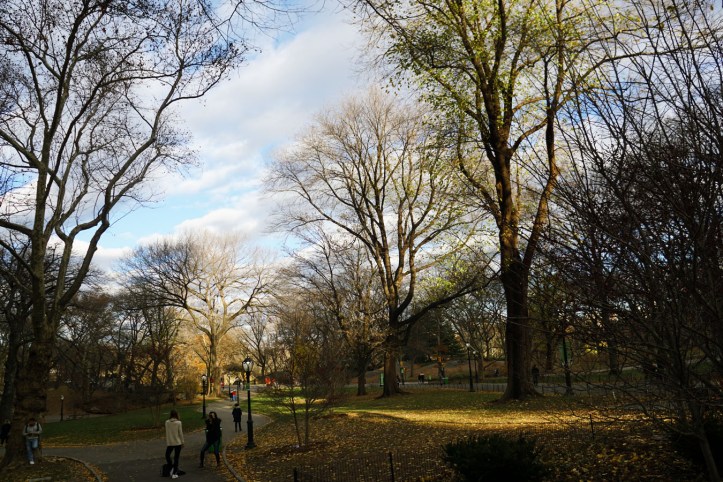 Central Park New york