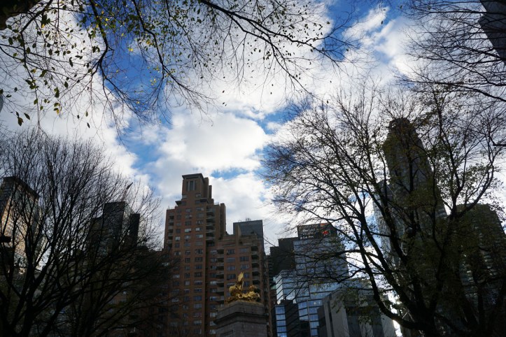 Central Park New york