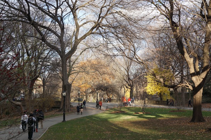 Central Park New york