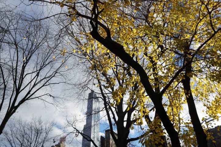 Central Park New york