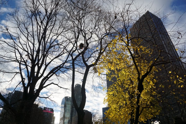 Central Park New york