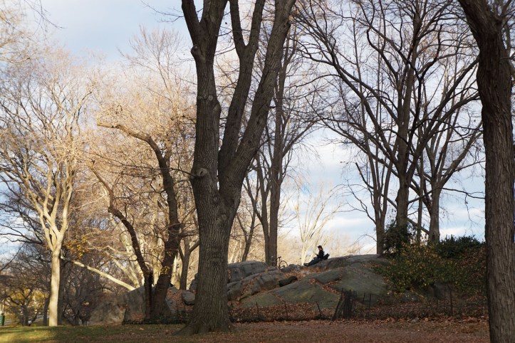 Central Park New york