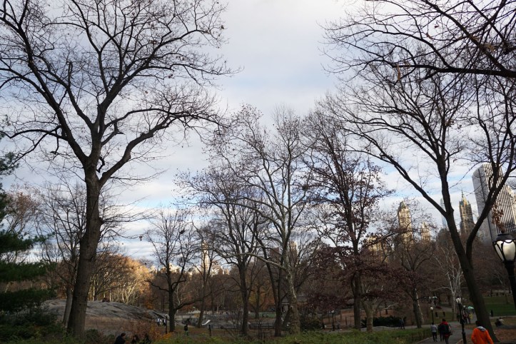 Central Park New york