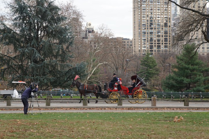 Central Park New york