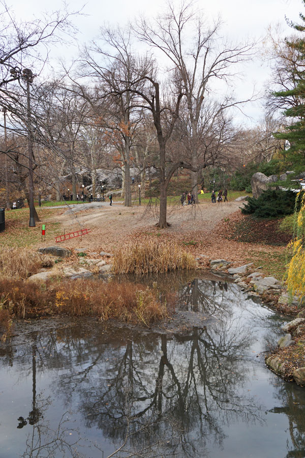 Central Park New york