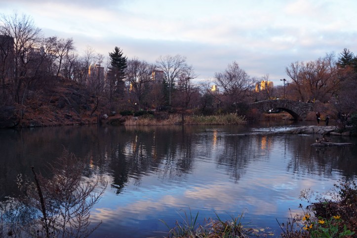Central Park New york