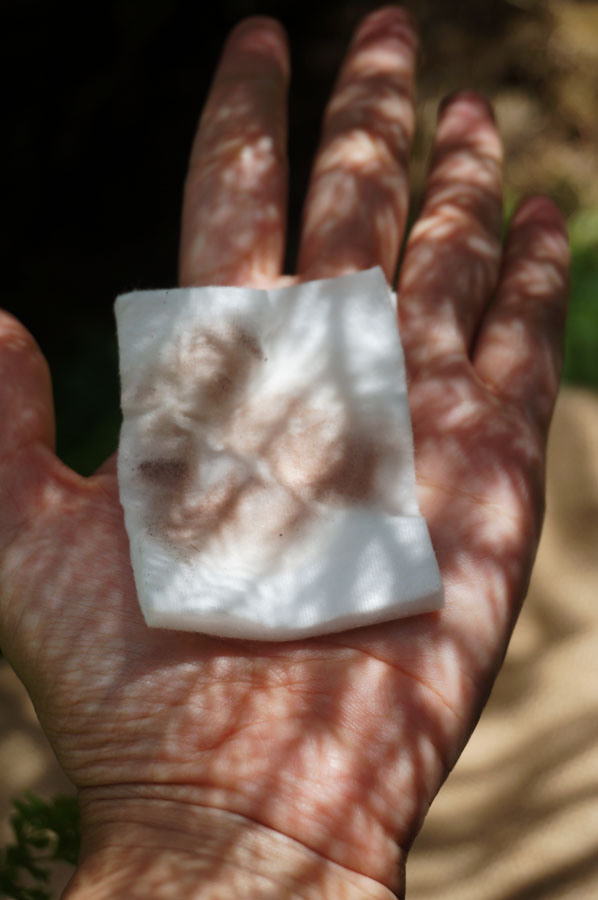 Garnier Micellar Cleansing Water