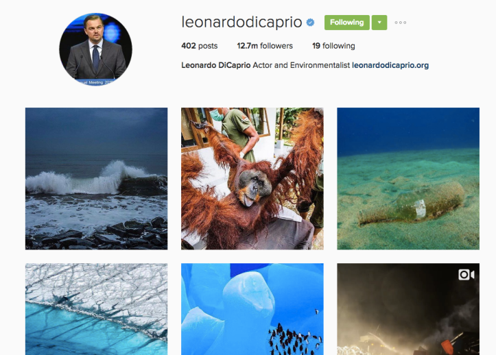 screen-shot-2016-12-04-at-7-46-11-pm