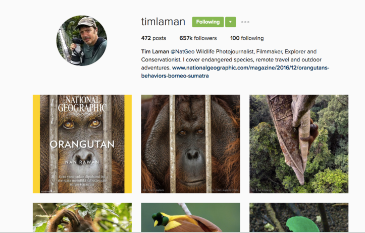 screen-shot-2016-12-04-at-7-48-47-pm