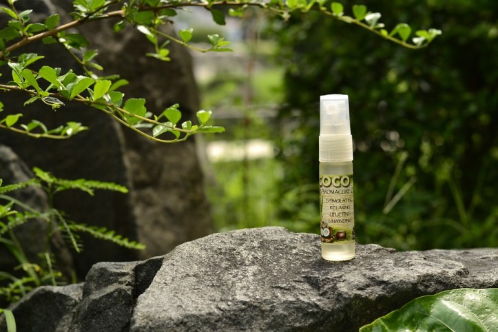 virgin-964755_960_720