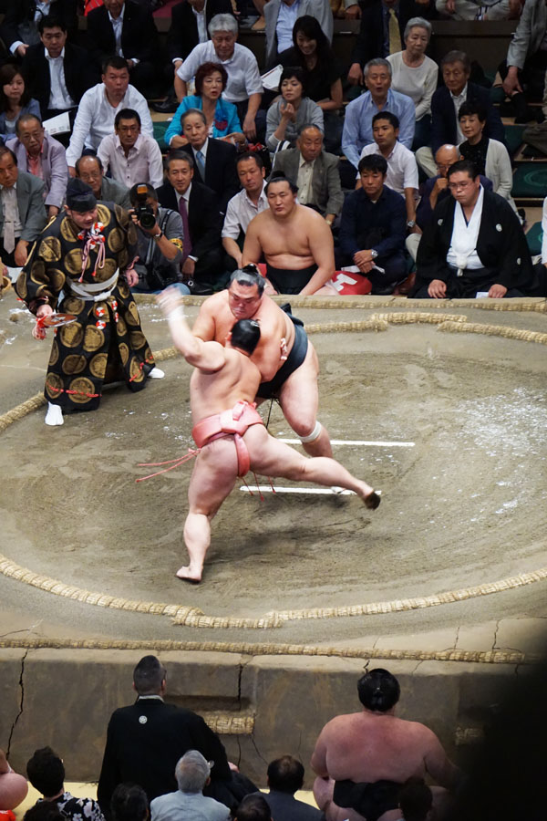 Sumo