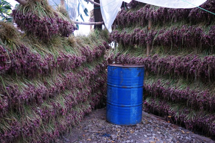 Tongging Sumatera Utara