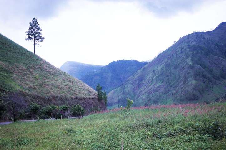 Tongging Sumatera Utara