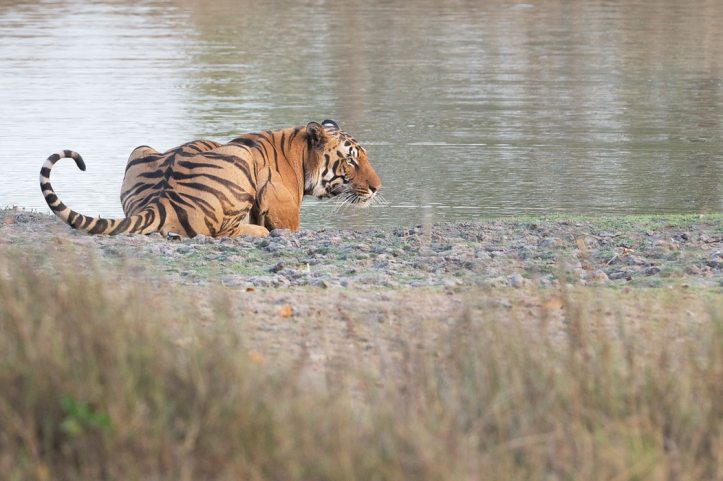 photo-1505932711685-91bfe00cf3d0